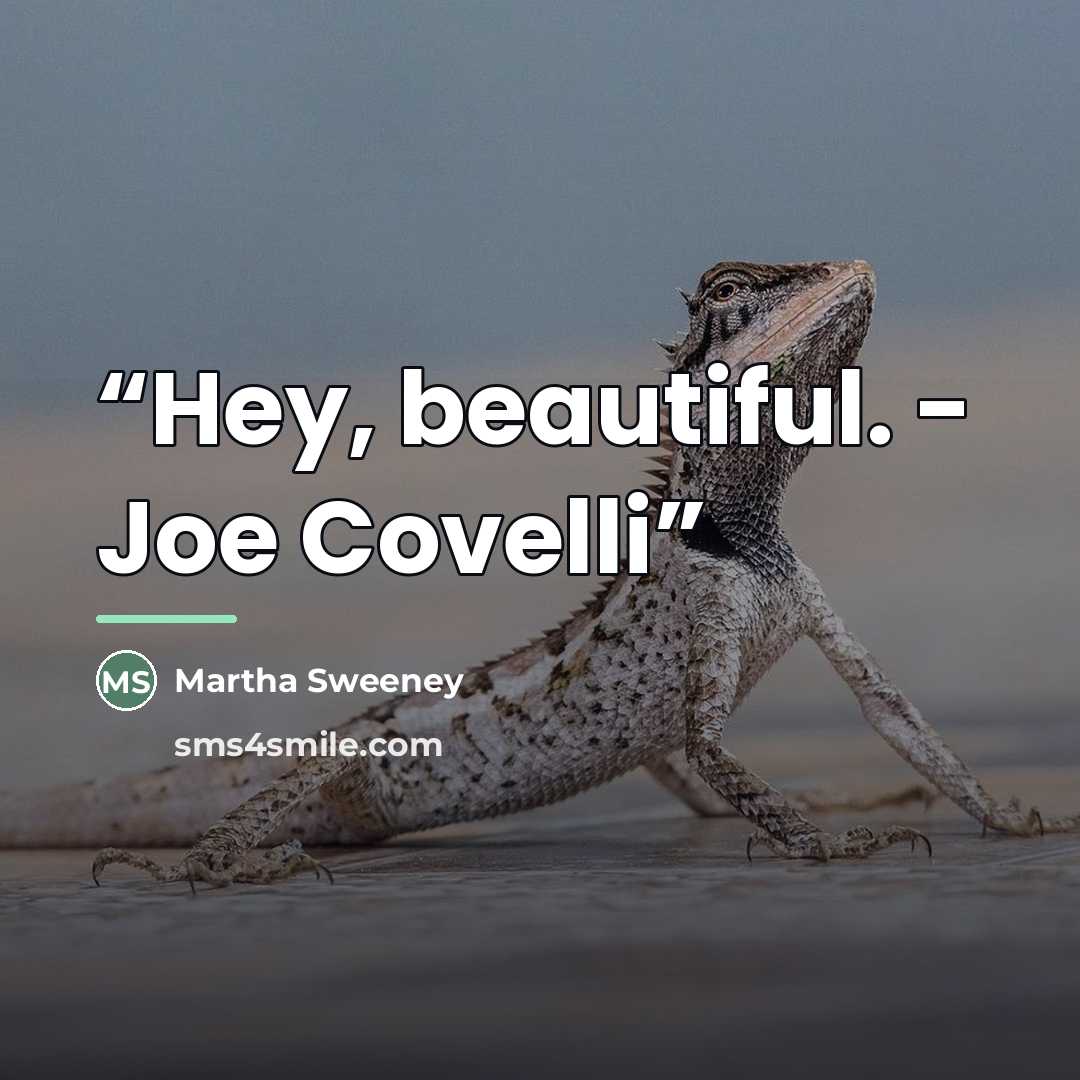 “Hey, beautiful. - Joe Covelli” quote by Martha Sweeney