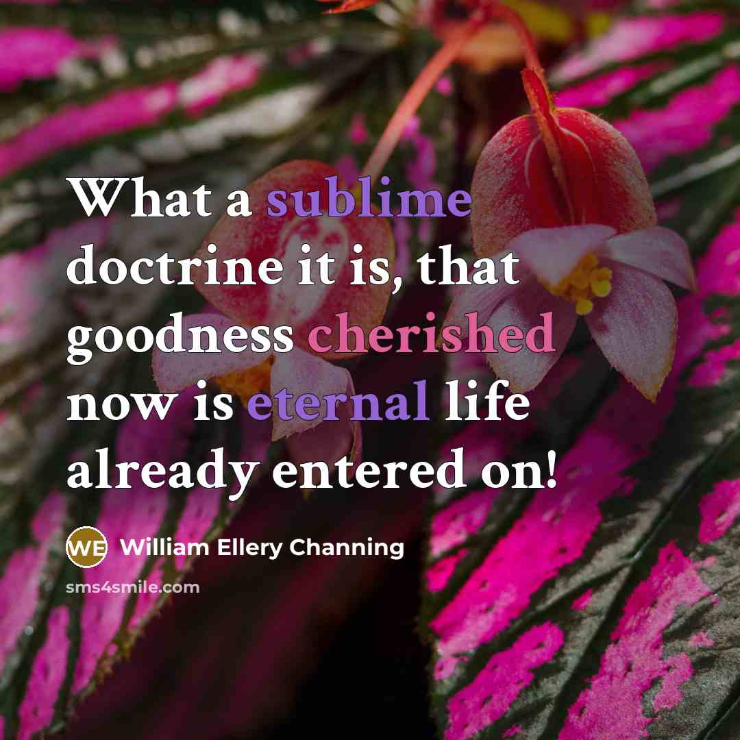 “What a sublime doctrine it is, that goodness cherished now is eternal life already entered on!” quote by William Ellery Channing