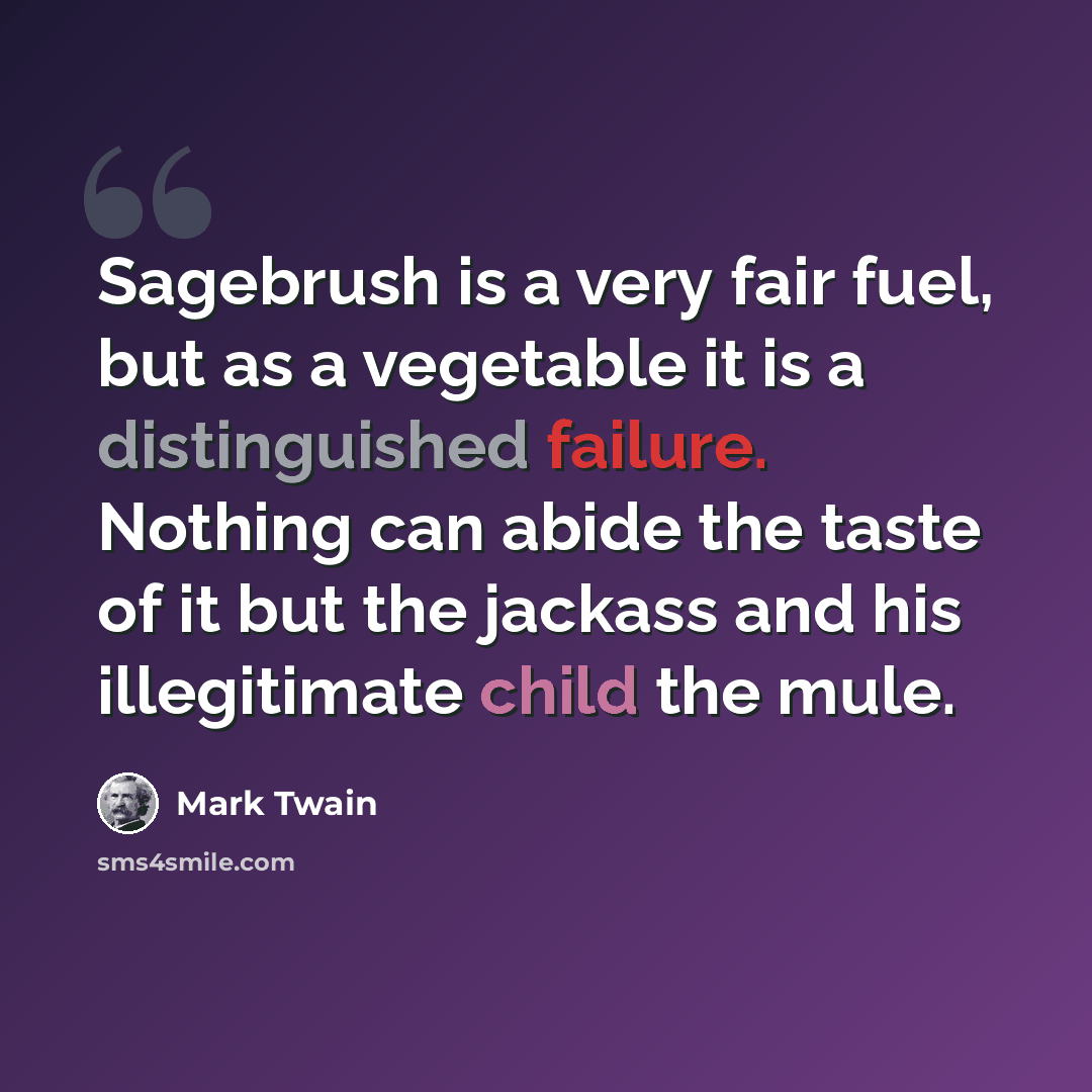 “Sagebrush is a very fair fuel, but as a vegetable it is a distinguished failure. Nothing can abide the taste of it but the jackass and his illegitimate child the mule.” quote by Mark Twain