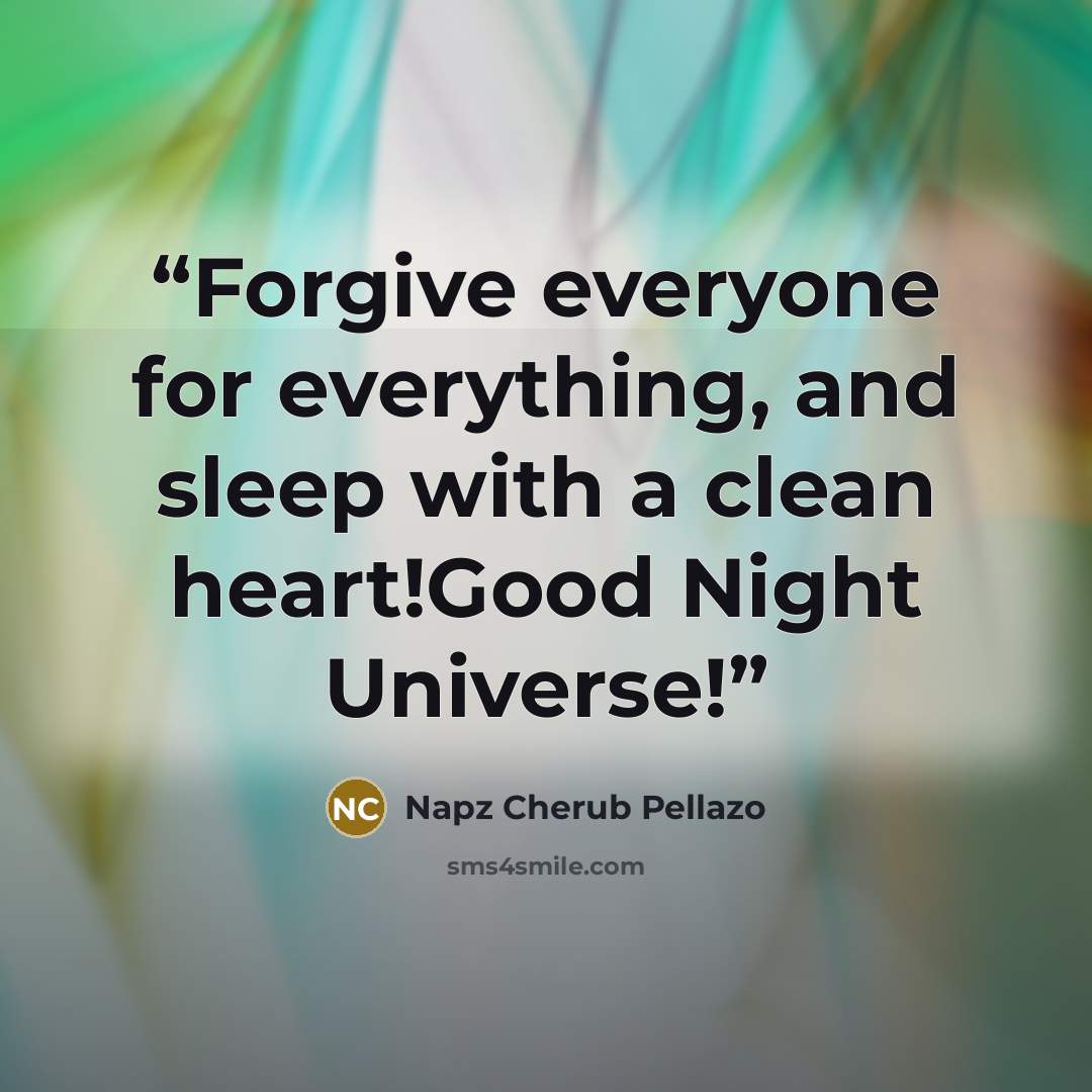 “Forgive everyone for everything, and sleep with a clean heart!Good Night Universe!” quote by Napz Cherub Pellazo