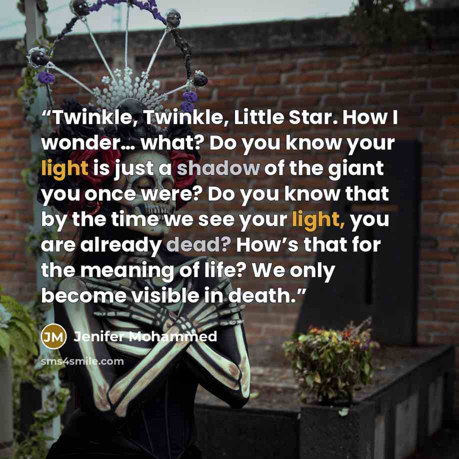 “Twinkle, Twinkle, Little Star. How I wonder… what? Do you know your light is just a shadow of the giant you once were? Do you know that by the time we see your light, you are already dead? How’s that for the meaning of life? We only become visible in death.” quote by Jenifer Mohammed