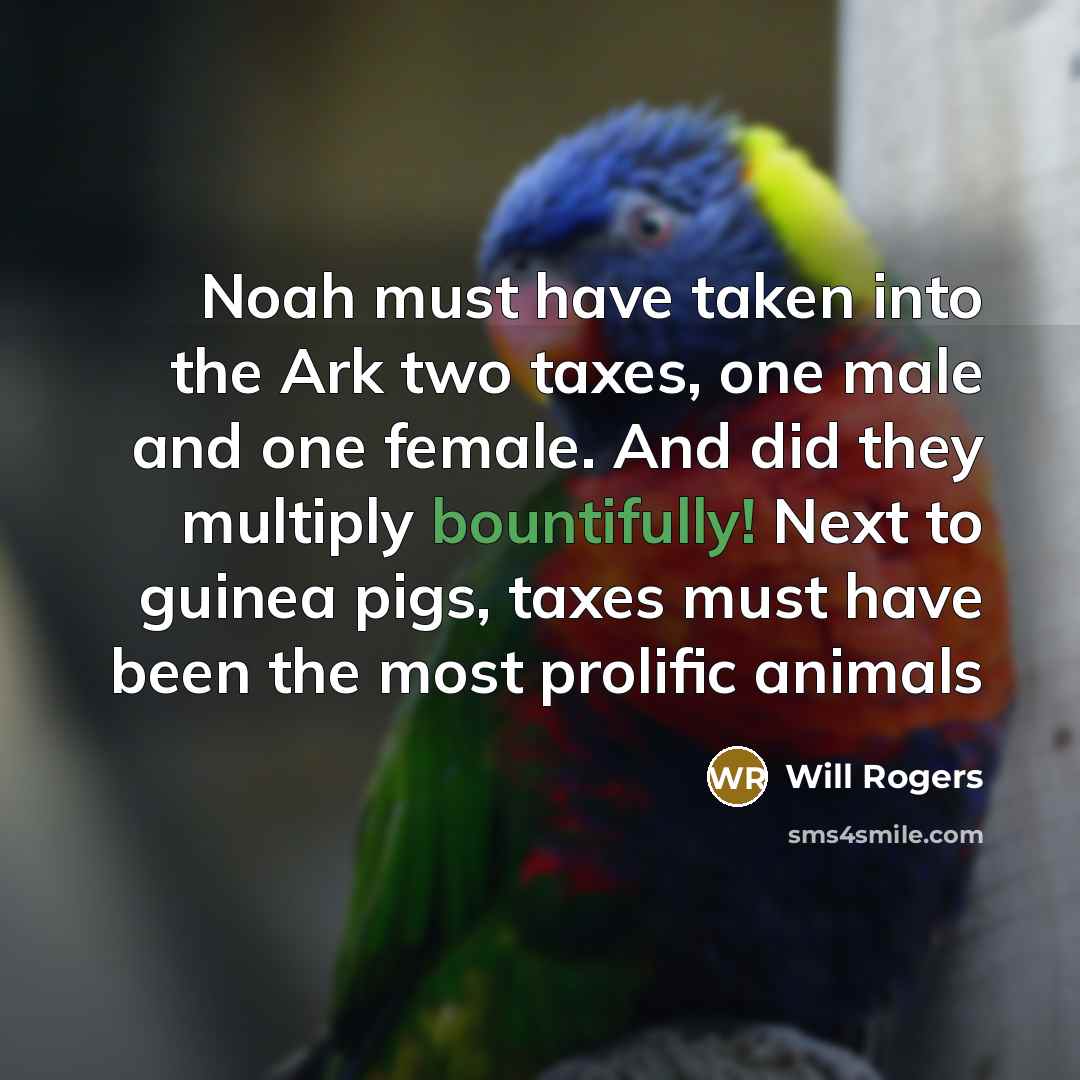 “Noah must have taken into the Ark two taxes, one male and one female. And did they multiply bountifully! Next to guinea pigs, taxes must have been the most prolific animals” quote by Will Rogers