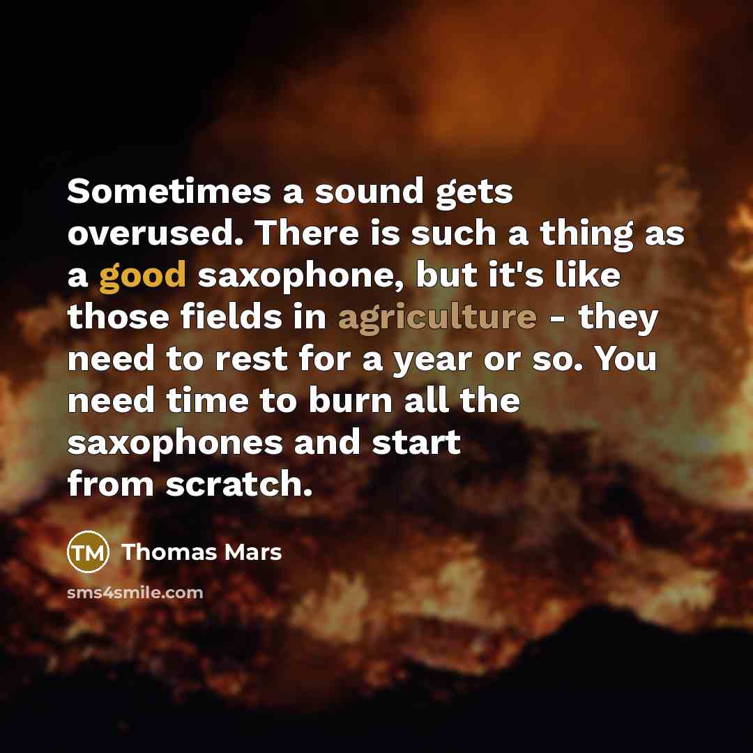 “Sometimes a sound gets overused. There is such a thing as a good saxophone, but it's like those fields in agriculture - they need to rest for a year or so. You need time to burn all the saxophones and start from scratch.” quote by Thomas Mars