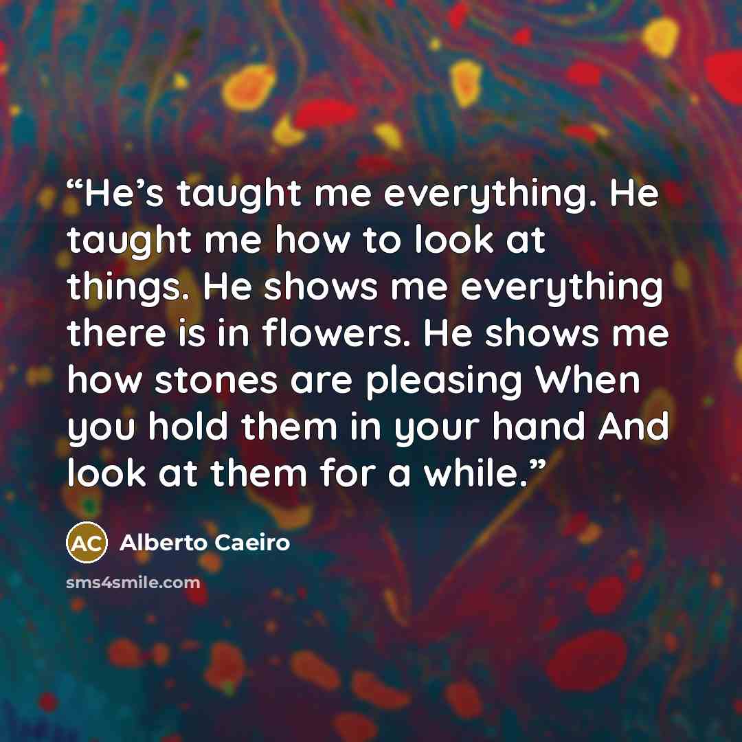 “He’s taught me everything. He taught me how to look at things. He shows me everything there is in flowers. He shows me how stones are pleasing When you hold them in your hand And look at them for a while.” quote by Alberto Caeiro