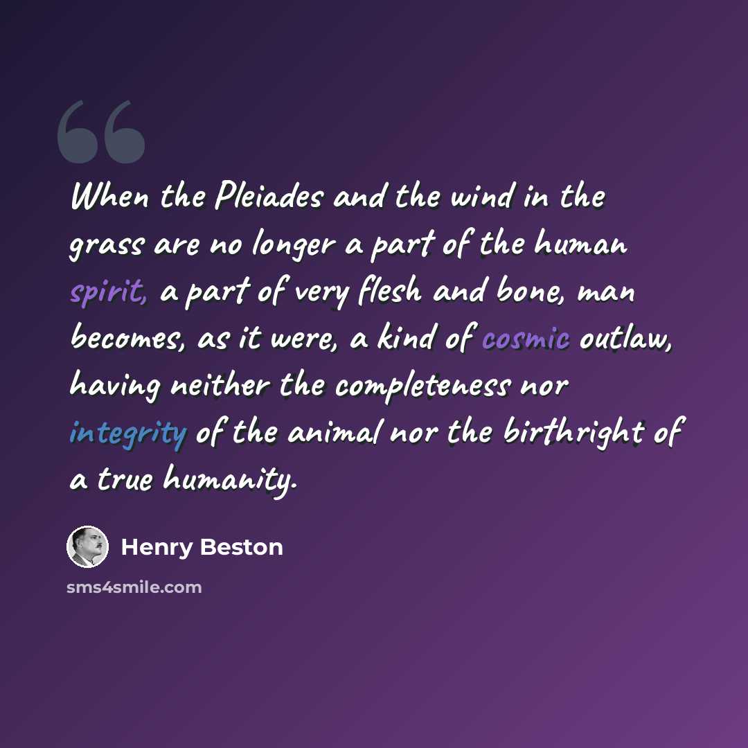 “When the Pleiades and the wind in the grass are no longer a part of the human spirit, a part of very flesh and bone, man becomes, as it were, a kind of cosmic outlaw, having neither the completeness nor integrity of the animal nor the birthright of a true humanity.” quote by Henry Beston