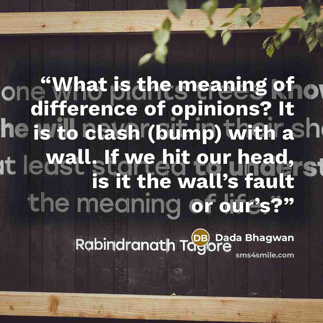 “What is the meaning of difference of opinions? It is to clash (bump) with a wall. If we hit our head, is it the wall’s fault or our’s?” quote by Dada Bhagwan