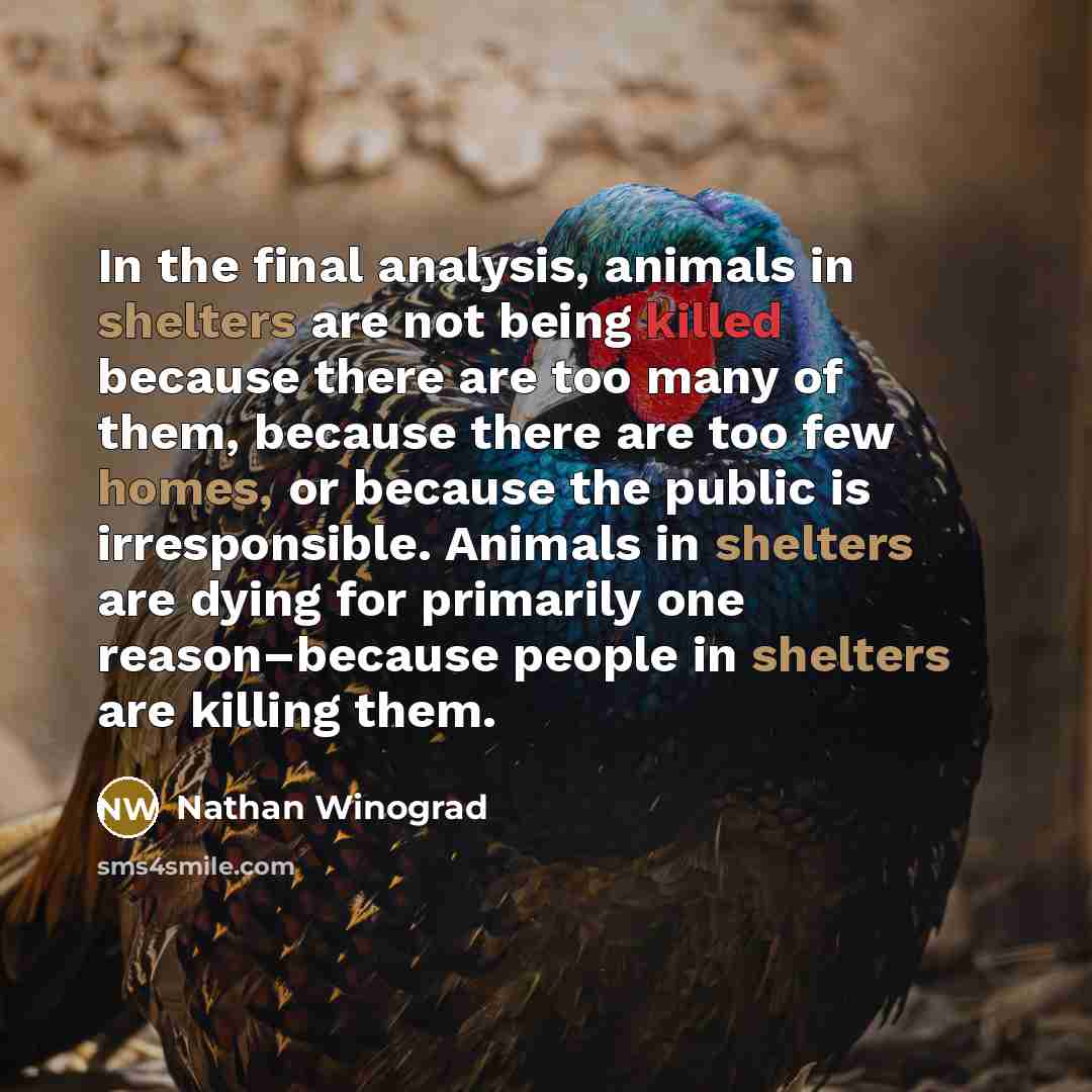 “In the final analysis, animals in shelters are not being killed because there are too many of them, because there are too few homes, or because the public is irresponsible. Animals in shelters are dying for primarily one reason–because people in shelters are killing them.” quote by Nathan Winograd