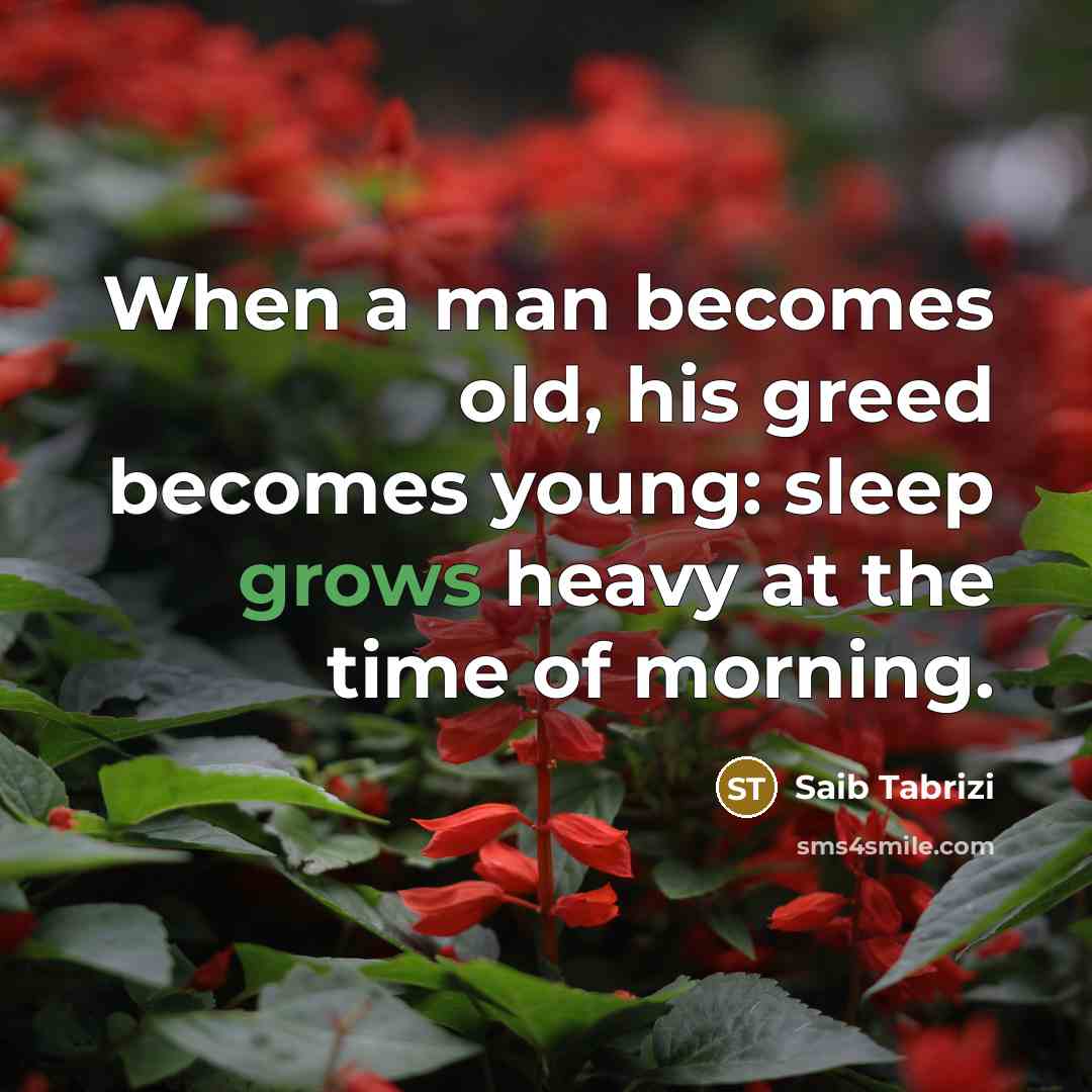 “When a man becomes old, his greed becomes young: sleep grows heavy at the time of morning.” quote by Saib Tabrizi