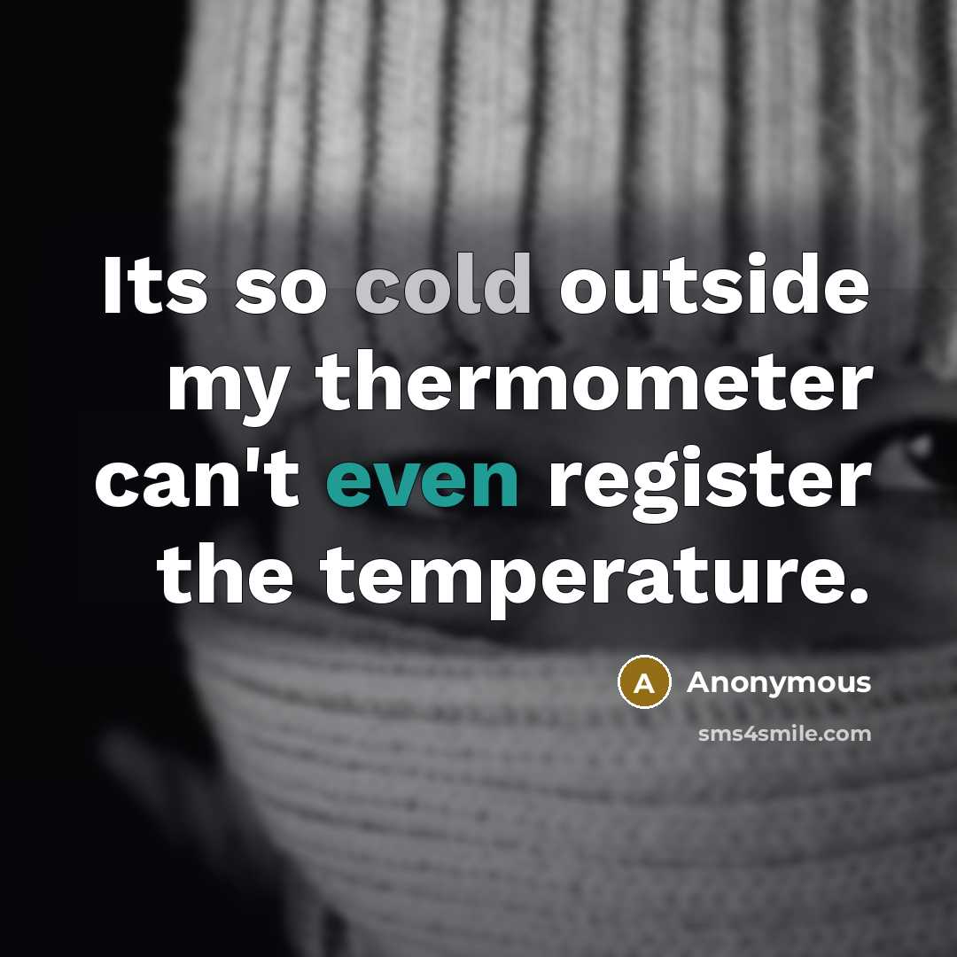 “Its so cold outside my thermometer can't even register the temperature.” quote by Anonymous