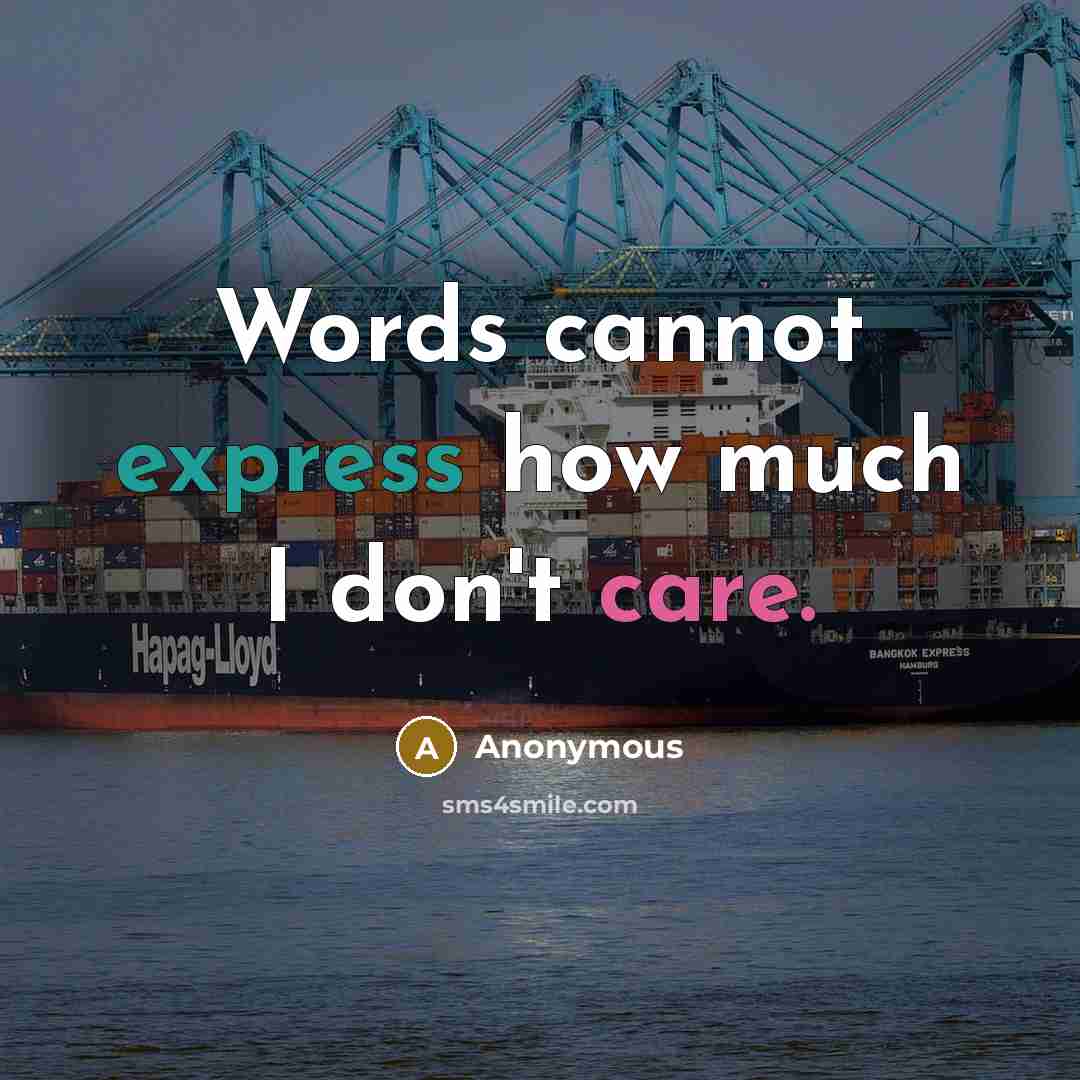 “Words cannot express how much I don't care.” quote by Anonymous