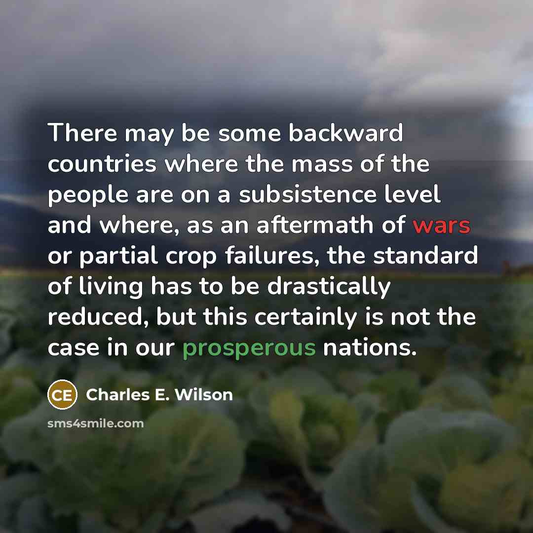 “There may be some backward countries where the mass of the people are on a subsistence level and where, as an aftermath of wars or partial crop failures, the standard of living has to be drastically reduced, but this certainly is not the case in our prosperous nations.” quote by Charles E. Wilson