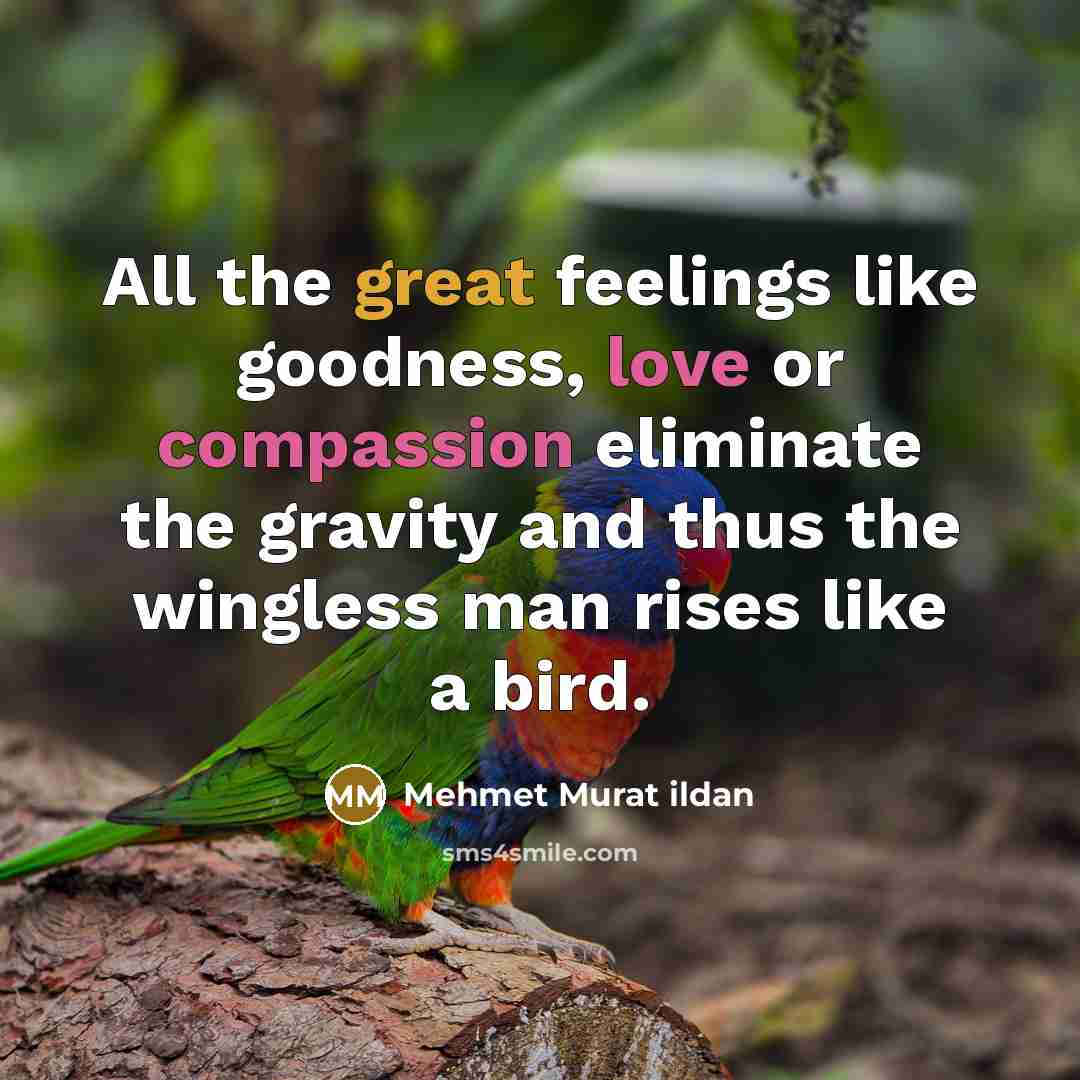 “All the great feelings like goodness, love or compassion eliminate the gravity and thus the wingless man rises like a bird.” quote by Mehmet Murat Ildan