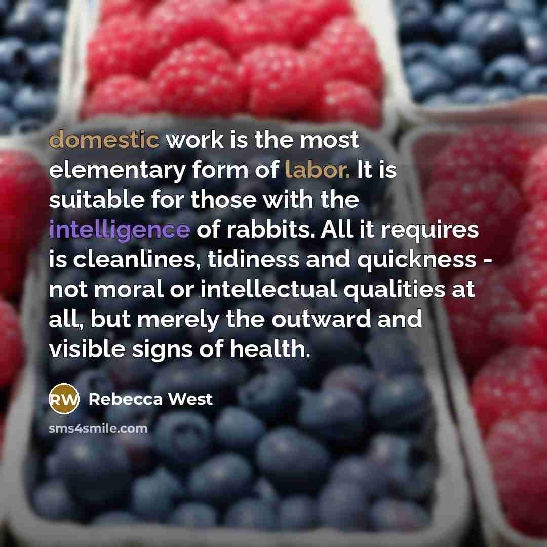 “domestic work is the most elementary form of labor. It is suitable for those with the intelligence of rabbits. All it requires is cleanlines, tidiness and quickness - not moral or intellectual qualities at all, but merely the outward and visible signs of health.” quote by Rebecca West