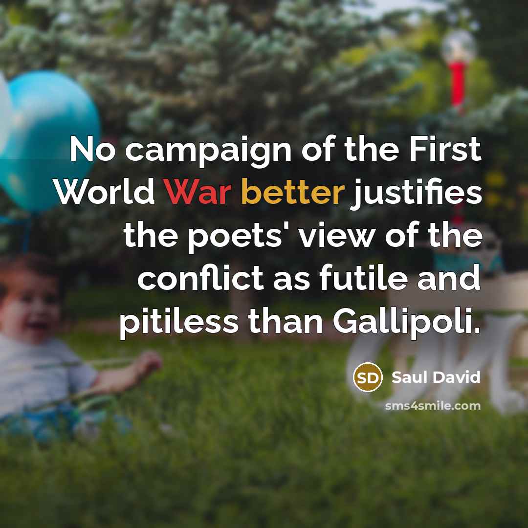 “No campaign of the First World War better justifies the poets' view of the conflict as futile and pitiless than Gallipoli.” quote by Saul David