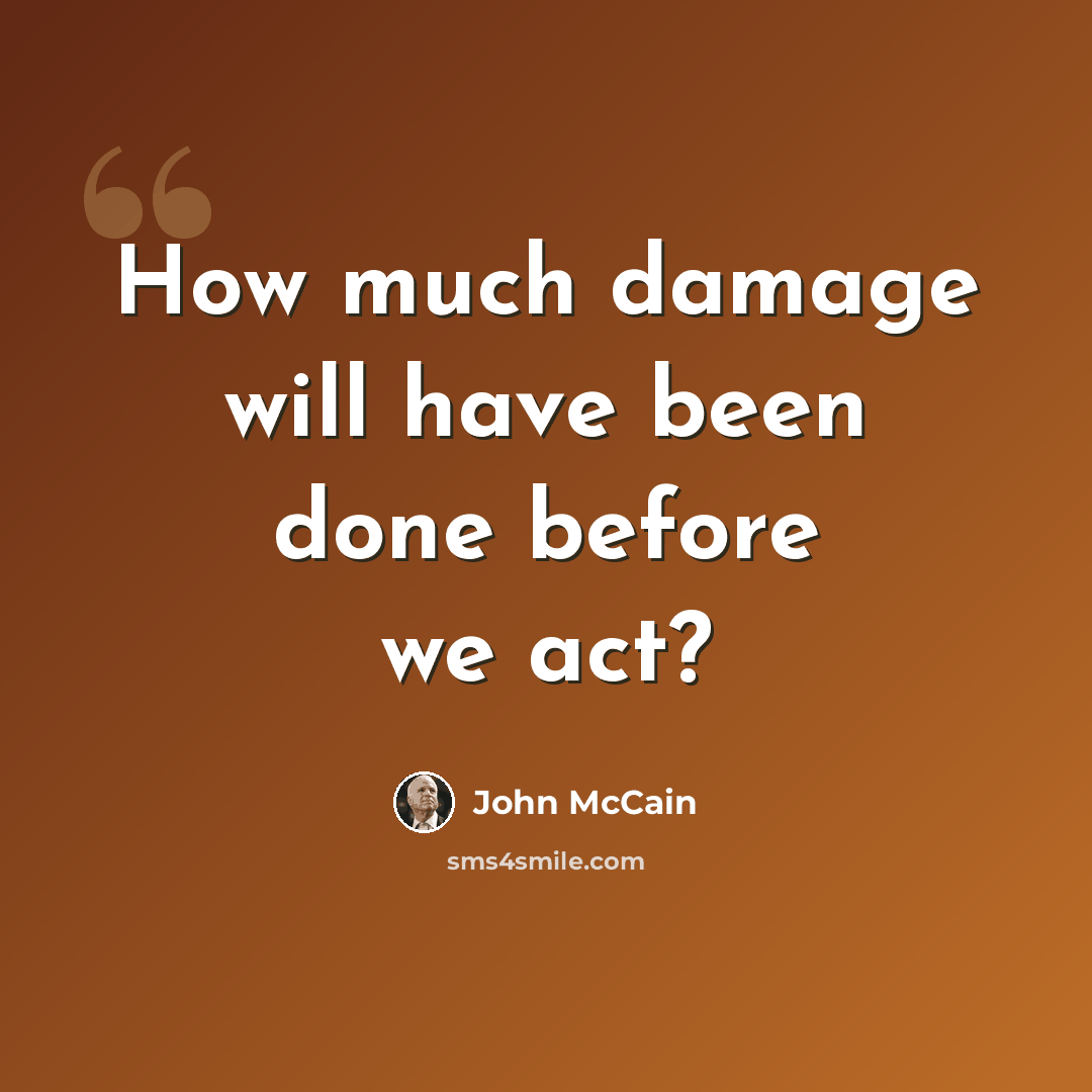“How much damage will have been done before we act?” quote by John McCain
