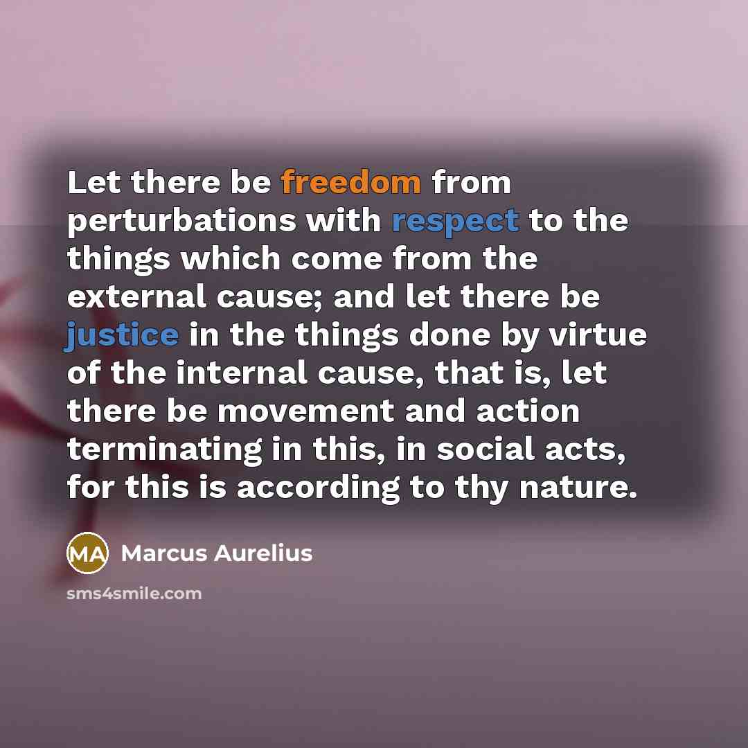 “Let there be freedom from perturbations with respect to the things which come from the external cause; and let there be justice in the things done by virtue of the internal cause, that is, let there be movement and action terminating in this, in social acts, for this is according to thy nature.” quote by Marcus Aurelius