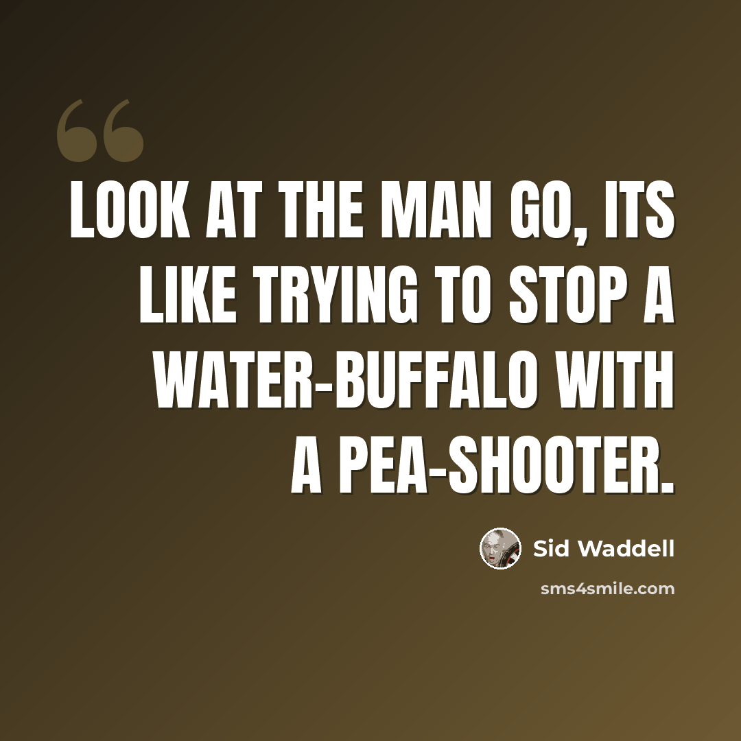 “Look at the man go, its like trying to stop a water-buffalo with a pea-shooter.” quote by Sid Waddell