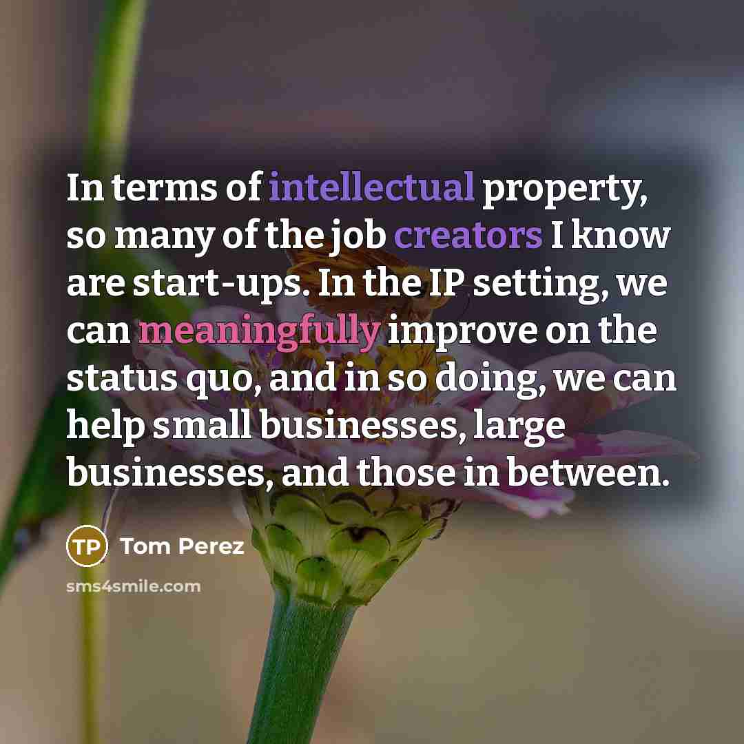 “In terms of intellectual property, so many of the job creators I know are start-ups. In the IP setting, we can meaningfully improve on the status quo, and in so doing, we can help small businesses, large businesses, and those in between.” quote by Tom Perez