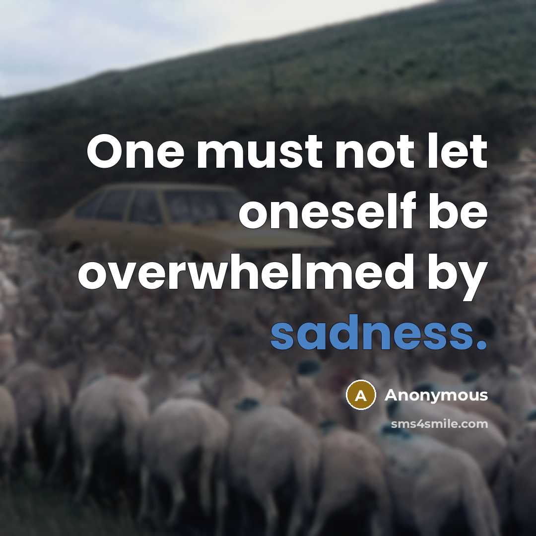 “One must not let oneself be overwhelmed by sadness.” quote by Anonymous