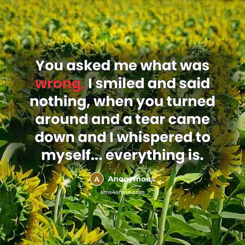 “You asked me what was wrong, I smiled and said nothing, when you turned around and a tear came down and I whispered to myself... everything is.” quote by Anonymous