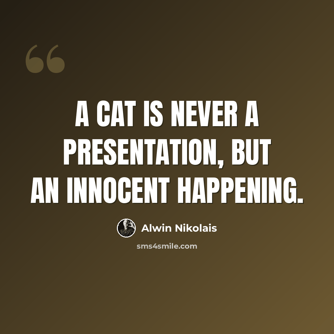 “A cat is never a presentation, but an innocent happening.” quote by Alwin Nikolais
