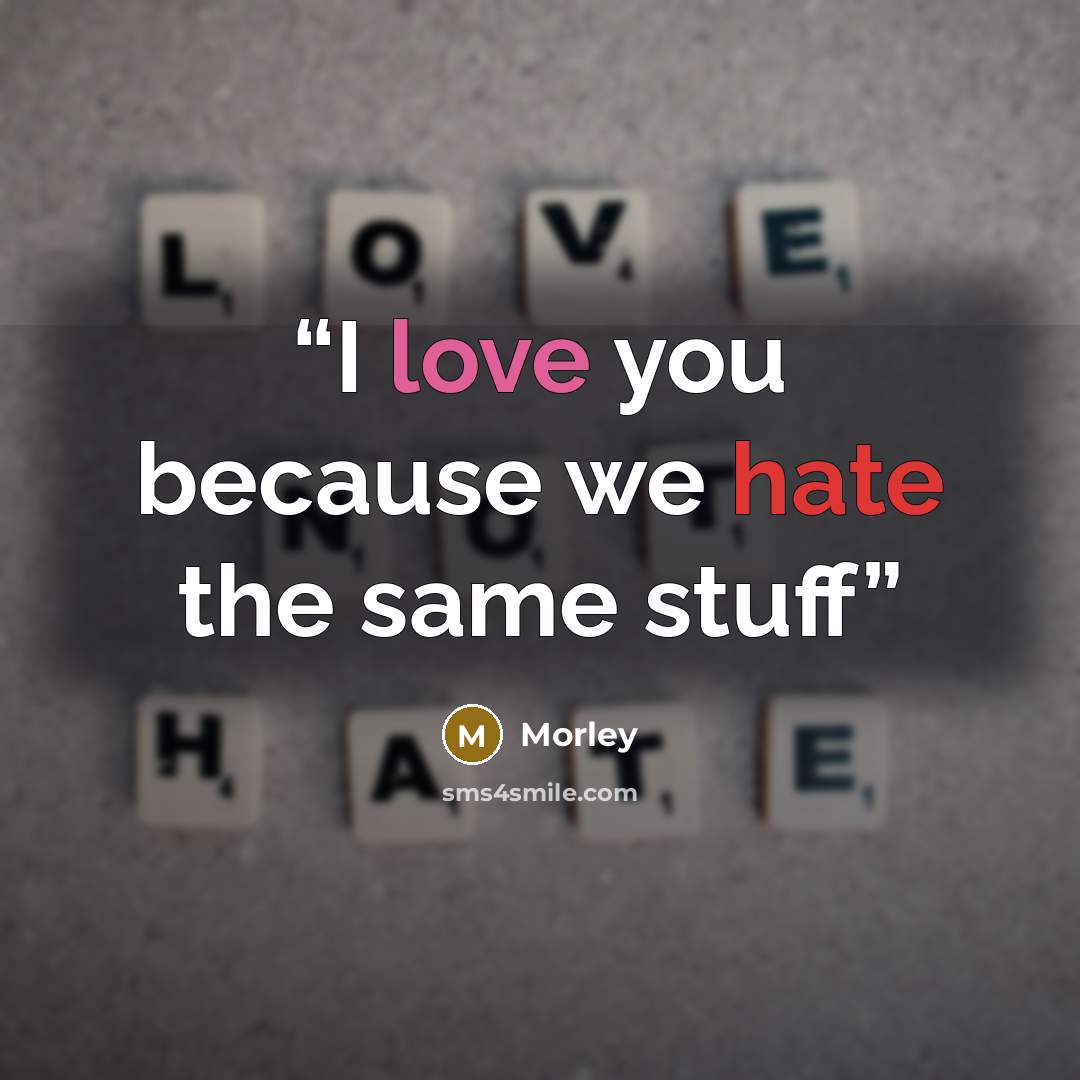 “I love you because we hate the same stuff” quote by Morley