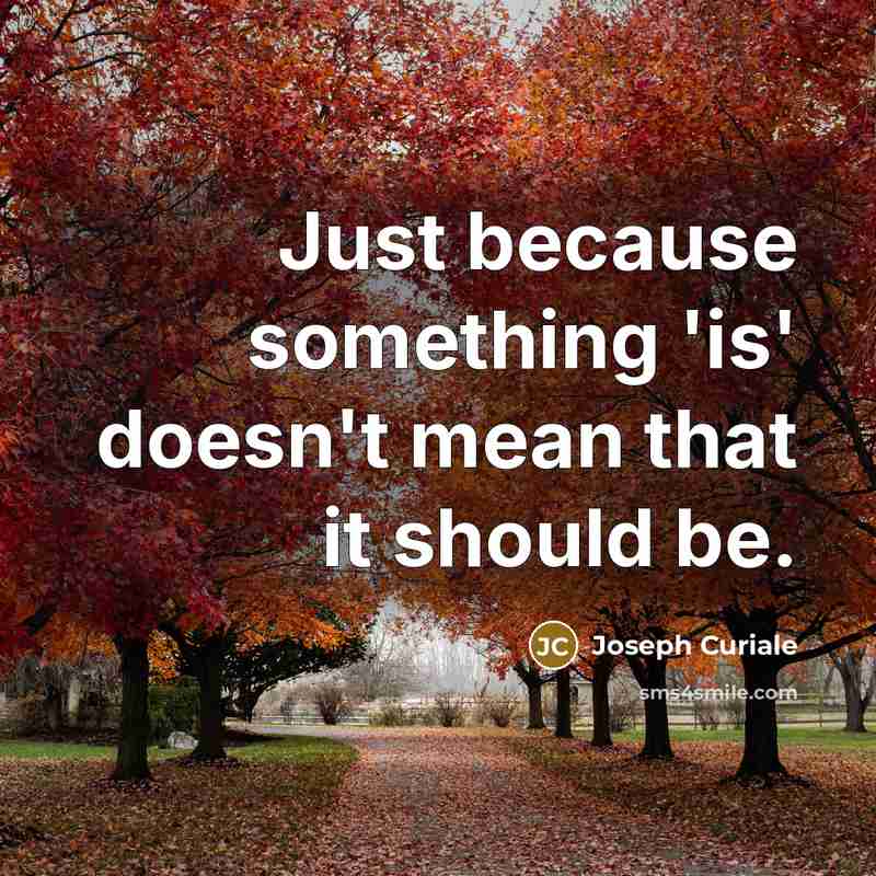 “Just because something 'is' doesn't mean that it should be.” quote by Joseph Curiale