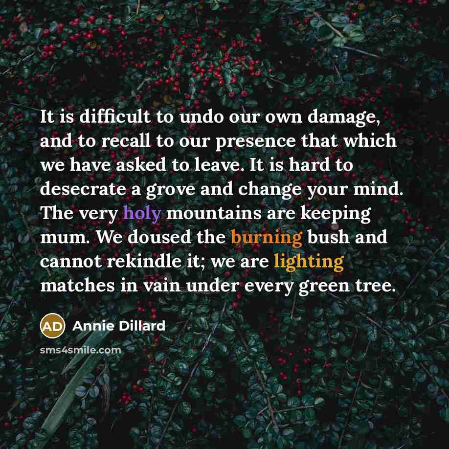 “It is difficult to undo our own damage, and to recall to our presence that which we have asked to leave. It is hard to desecrate a grove and change your mind. The very holy mountains are keeping mum. We doused the burning bush and cannot rekindle it; we are lighting matches in vain under every…” quote by Annie Dillard