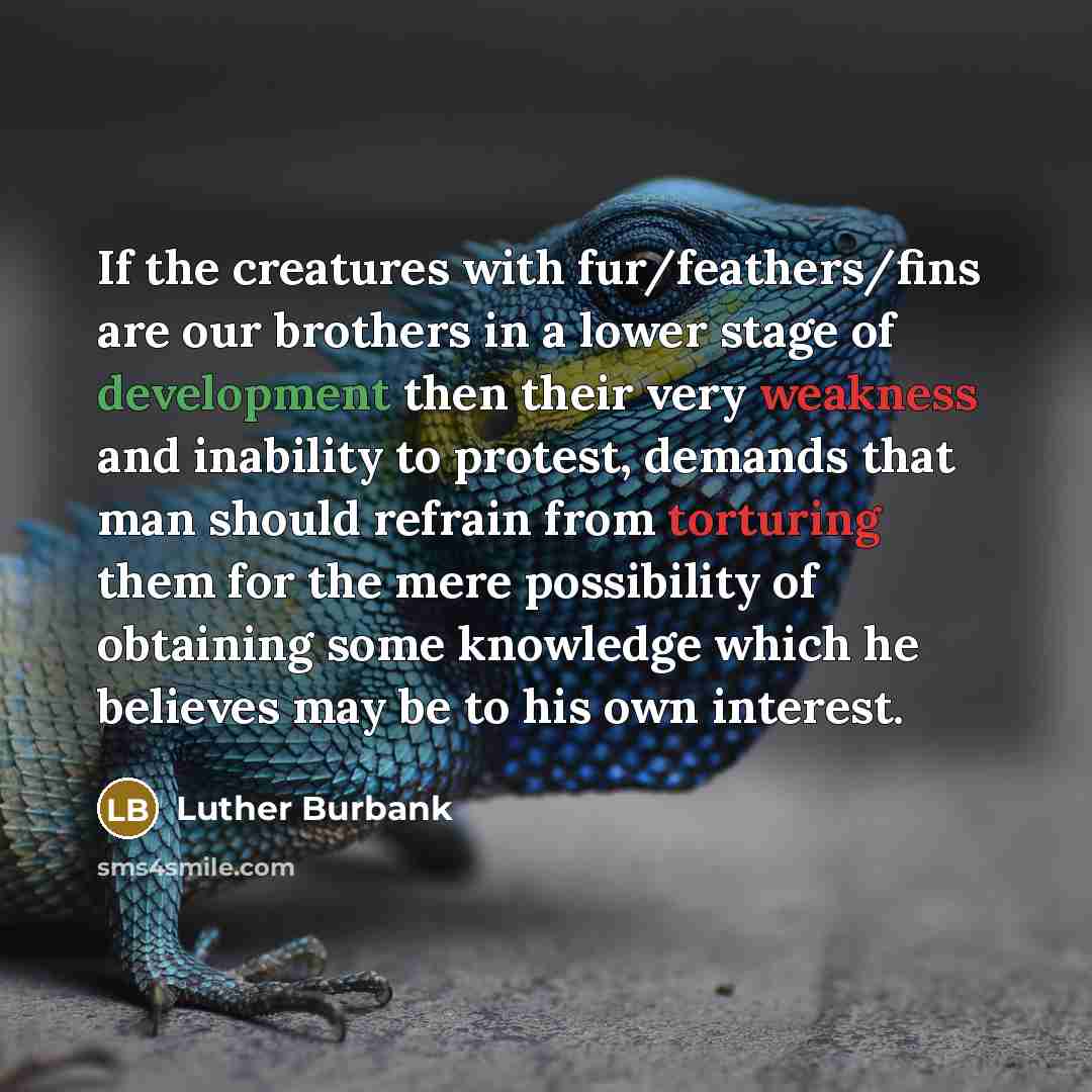 “If the creatures with fur/feathers/fins are our brothers in a lower stage of development then their very weakness and inability to protest, demands that man should refrain from torturing them for the mere possibility of obtaining some knowledge which he believes may be to his own interest.” quote by Luther Burbank