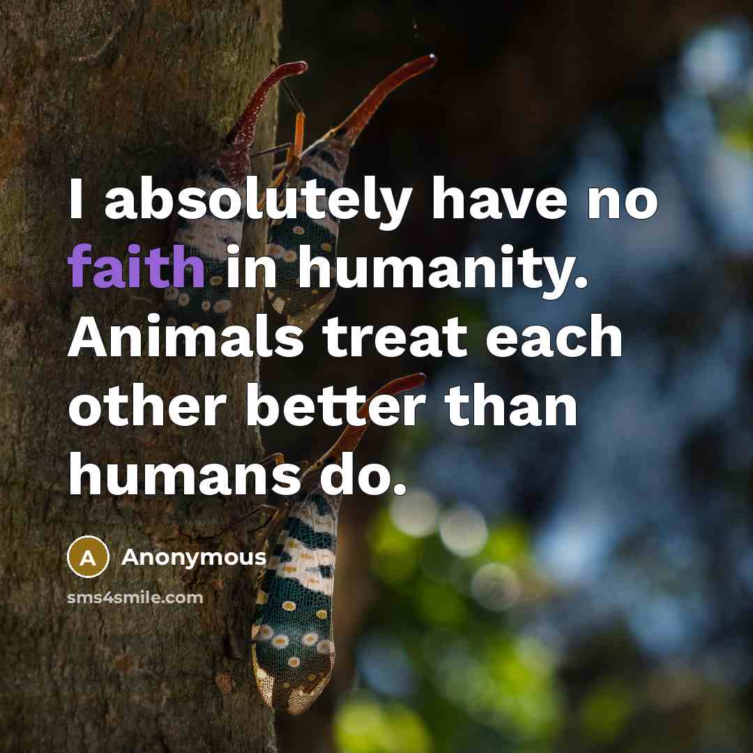 “I absolutely have no faith in humanity. Animals treat each other better than humans do.” quote by Anonymous