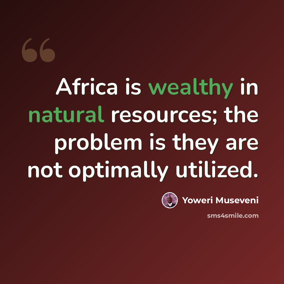 “Africa is wealthy in natural resources; the problem is they are not optimally utilized.” quote by Yoweri Museveni