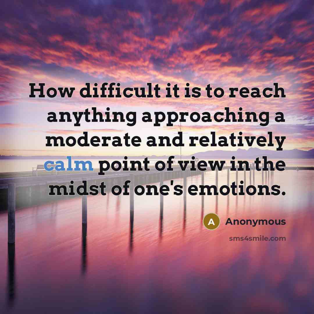“How difficult it is to reach anything approaching a moderate and relatively calm point of view in the midst of one's emotions.” quote by Anonymous