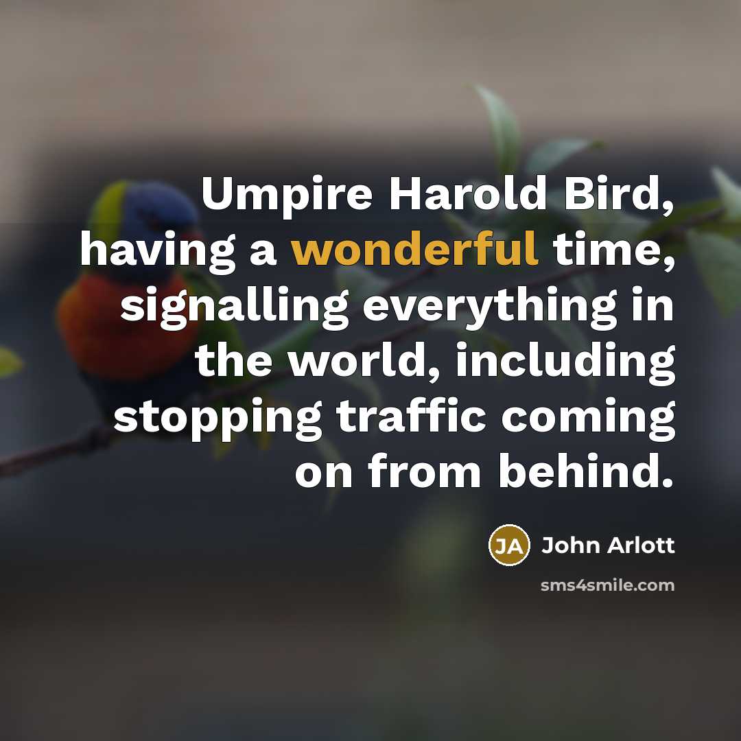 “Umpire Harold Bird, having a wonderful time, signalling everything in the world, including stopping traffic coming on from behind.” quote by John Arlott