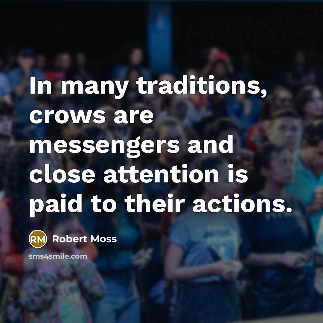 “In many traditions, crows are messengers and close attention is paid to their actions.” quote by Robert Moss