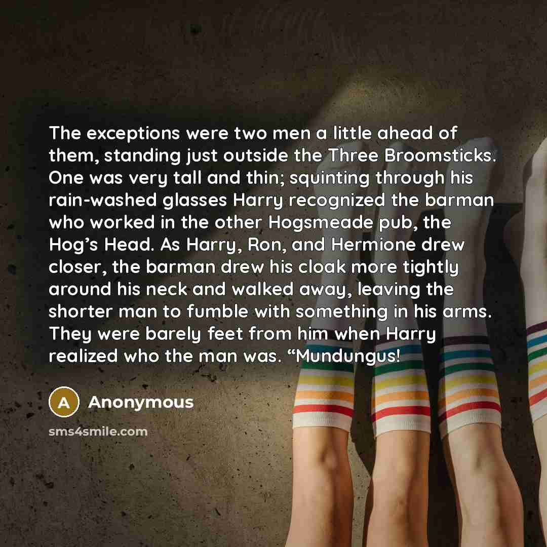 “The exceptions were two men a little ahead of them, standing just outside the Three Broomsticks. One was very tall and thin; squinting through his rain-washed glasses Harry recognized the barman who worked in the other Hogsmeade pub, the Hog’s Head. As Harry, Ron, and Hermione drew closer, the…” quote by Anonymous