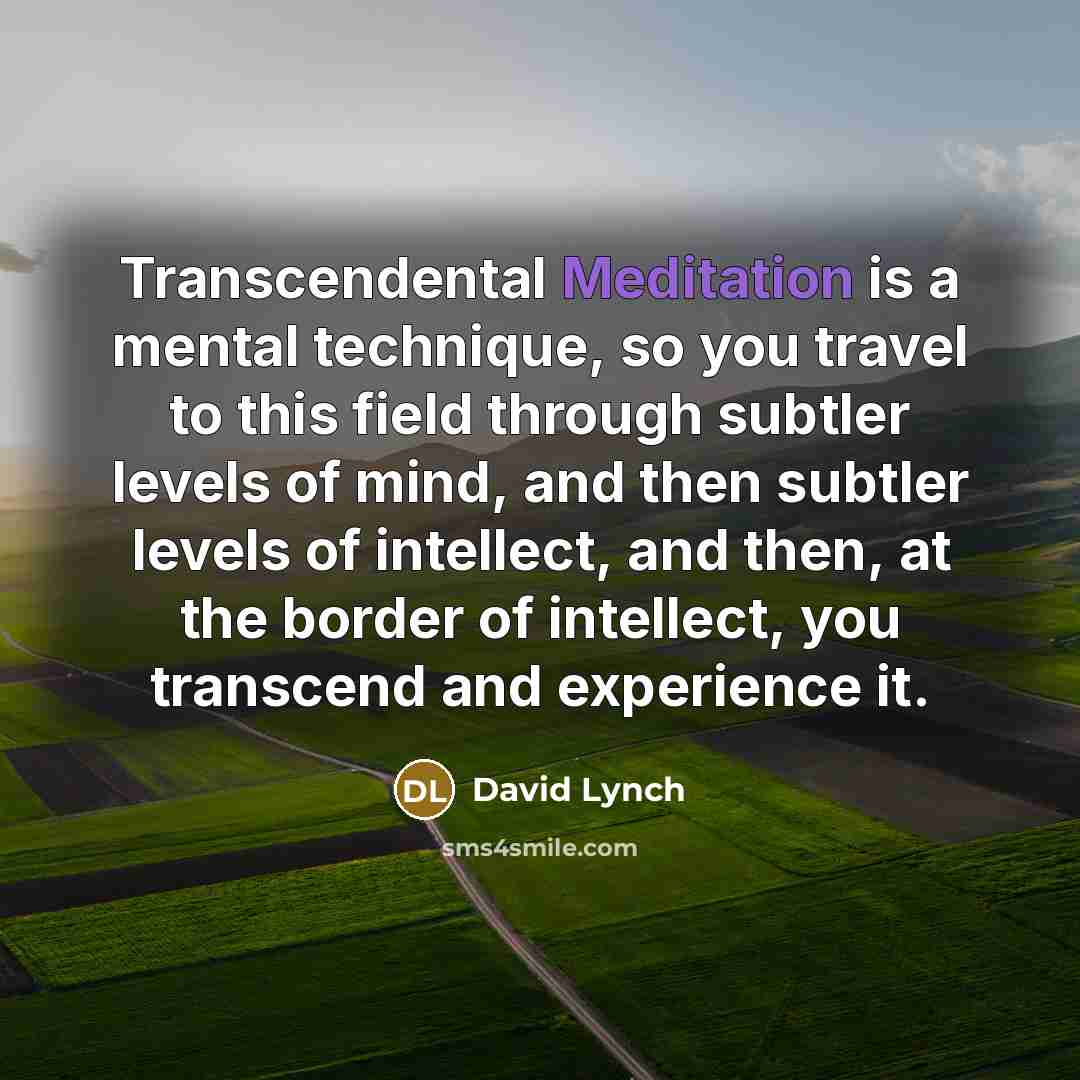 “Transcendental Meditation is a mental technique, so you travel to this field through subtler levels of mind, and then subtler levels of intellect, and then, at the border of intellect, you transcend and experience it.” quote by David Lynch
