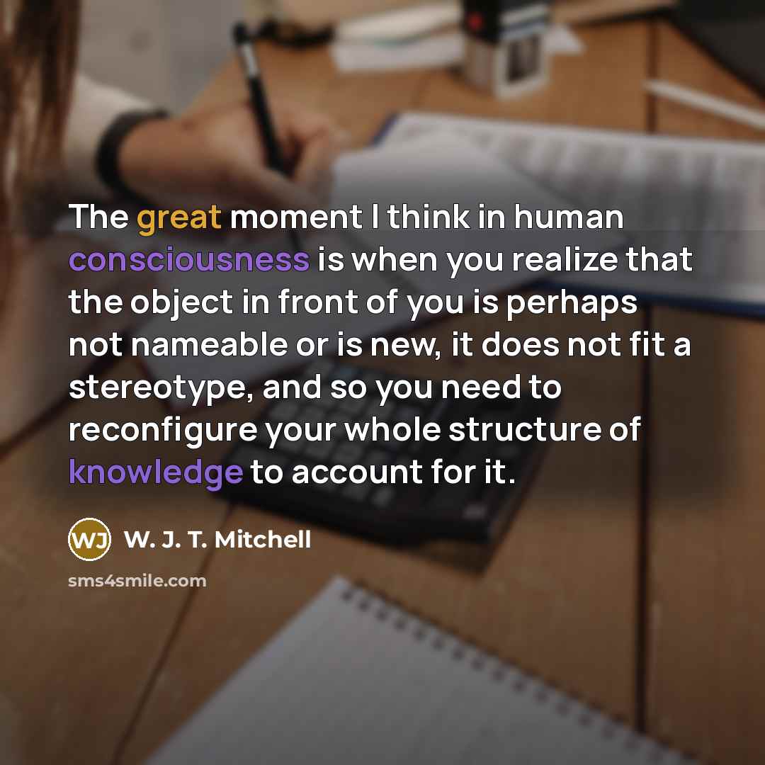 “The great moment I think in human consciousness is when you realize that the object in front of you is perhaps not nameable or is new, it does not fit a stereotype, and so you need to reconfigure your whole structure of knowledge to account for it.” quote by W. J. T. Mitchell