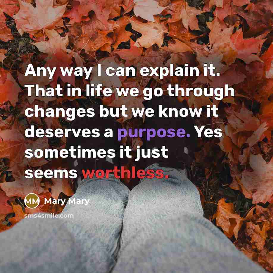“Any way I can explain it. That in life we go through changes but we know it deserves a purpose. Yes sometimes it just seems worthless.” quote by Mary Mary