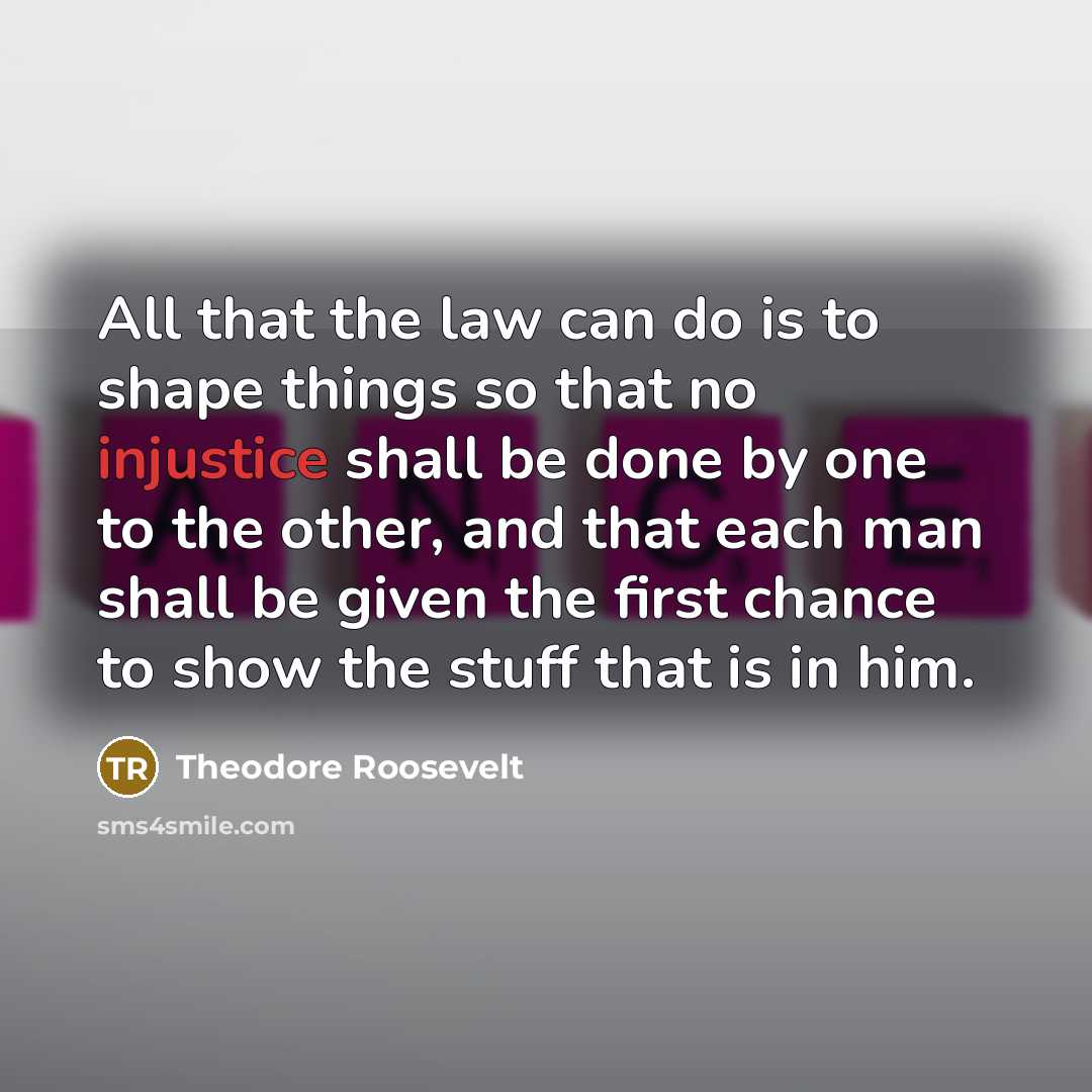“All that the law can do is to shape things so that no injustice shall be done by one to the other, and that each man shall be given the first chance to show the stuff that is in him.” quote by Theodore Roosevelt