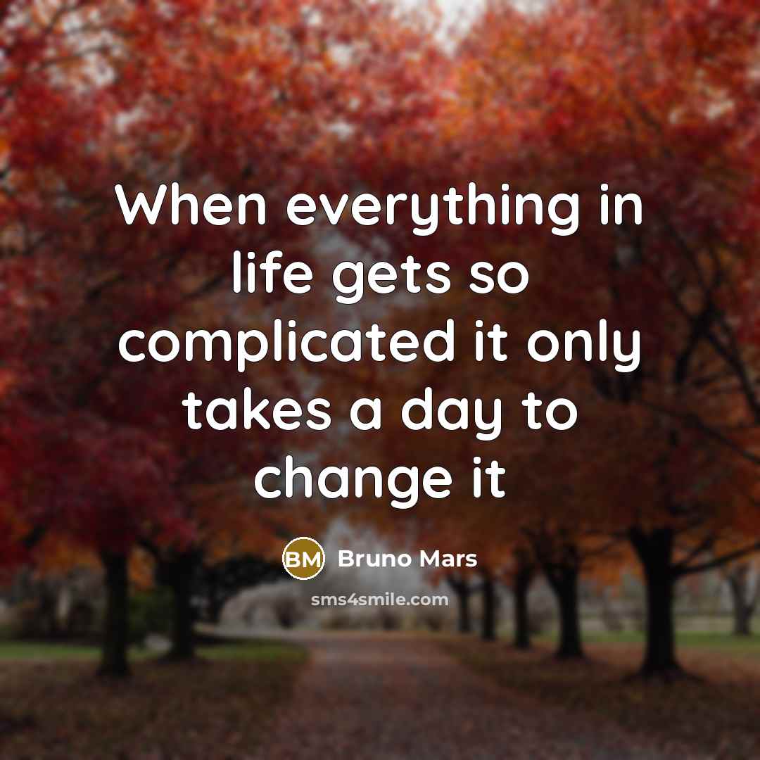 “When everything in life gets so complicated it only takes a day to change it” quote by Bruno Mars
