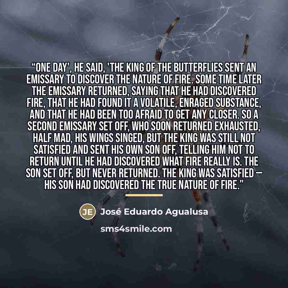“One day', he said, 'the King of the Butterflies sent an emissary to discover the nature of fire. Some time later the emissary returned, saying that he had discovered fire, that he had found it a volatile, enraged substance, and that he had been too afraid to get any closer. So a second emissary…” quote by José Eduardo Agualusa