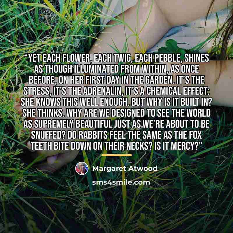 “Yet each flower, each twig, each pebble, shines as though illuminated from within, as once before, on her first day in the Garden. It’s the stress, it’s the adrenalin, it’s a chemical effect: she knows this well enough. But why is it built in? she thinks. Why are we designed to see the world as…” quote by Margaret Atwood