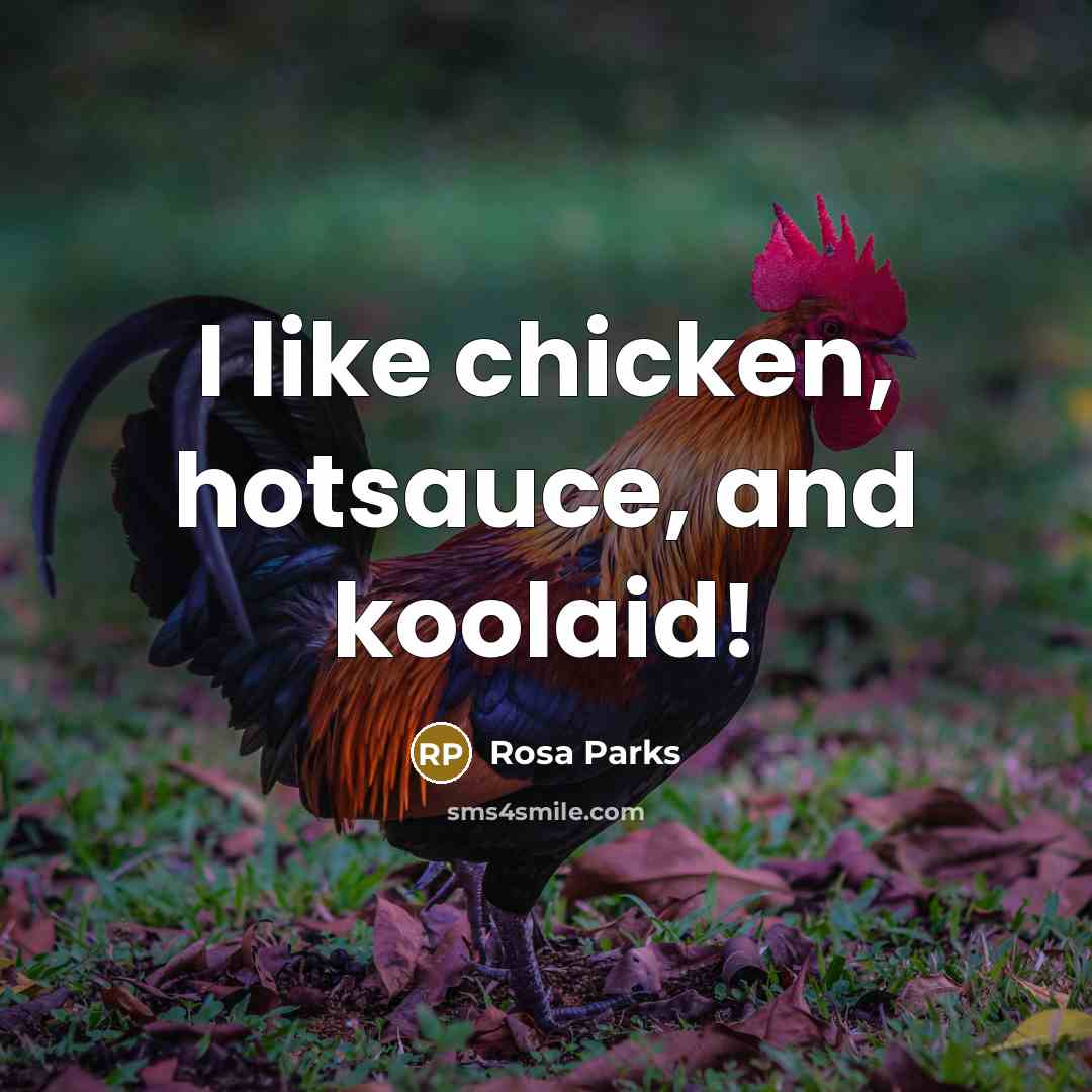 “I like chicken, hotsauce, and koolaid!” quote by Rosa Parks