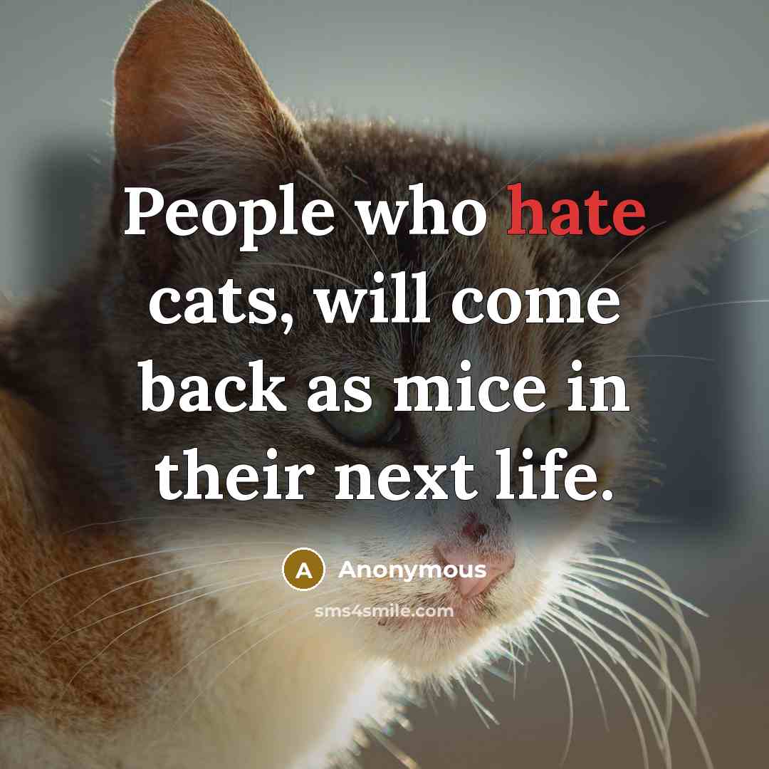 “People who hate cats, will come back as mice in their next life.” quote by Anonymous