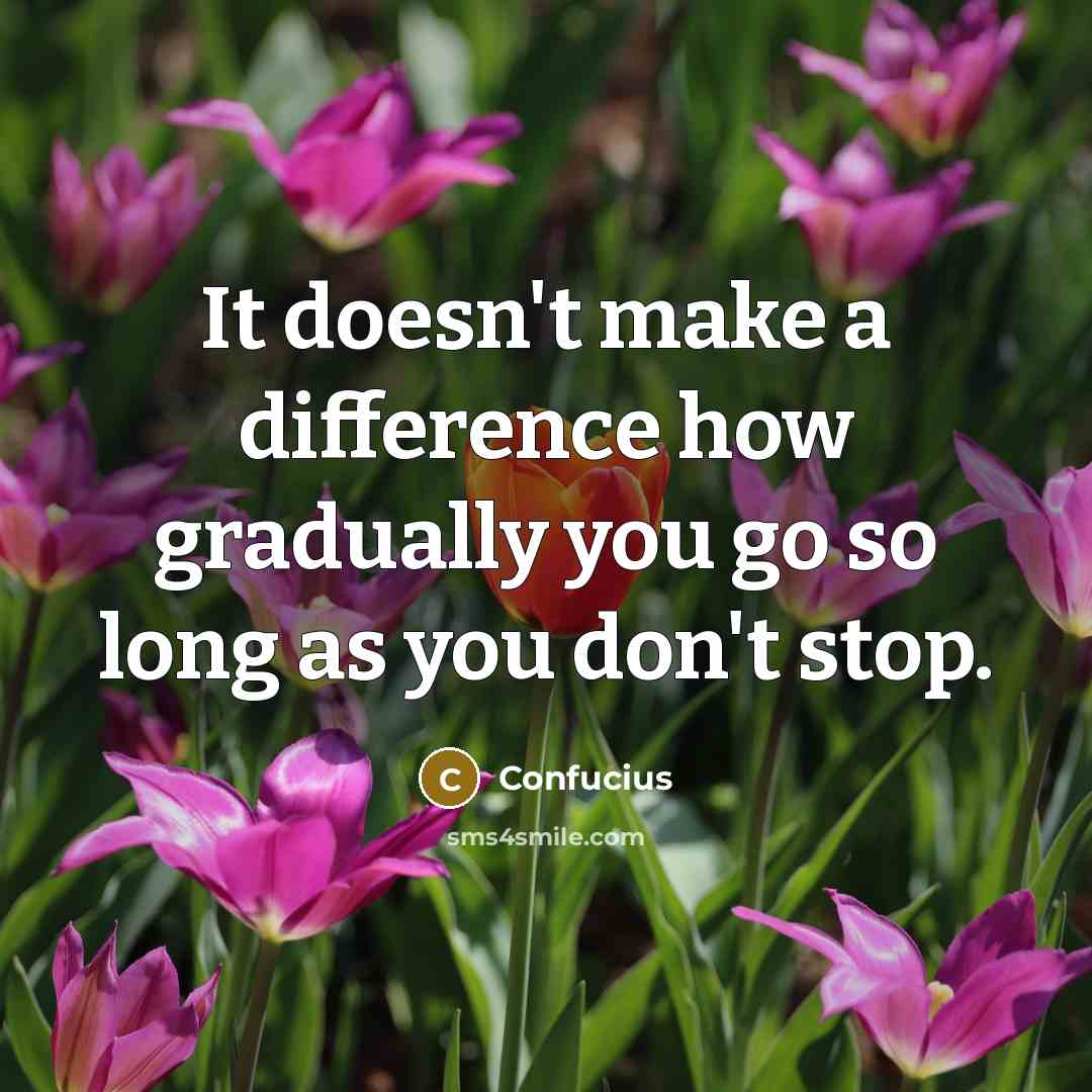 “It doesn't make a difference how gradually you go so long as you don't stop.” quote by Confucius