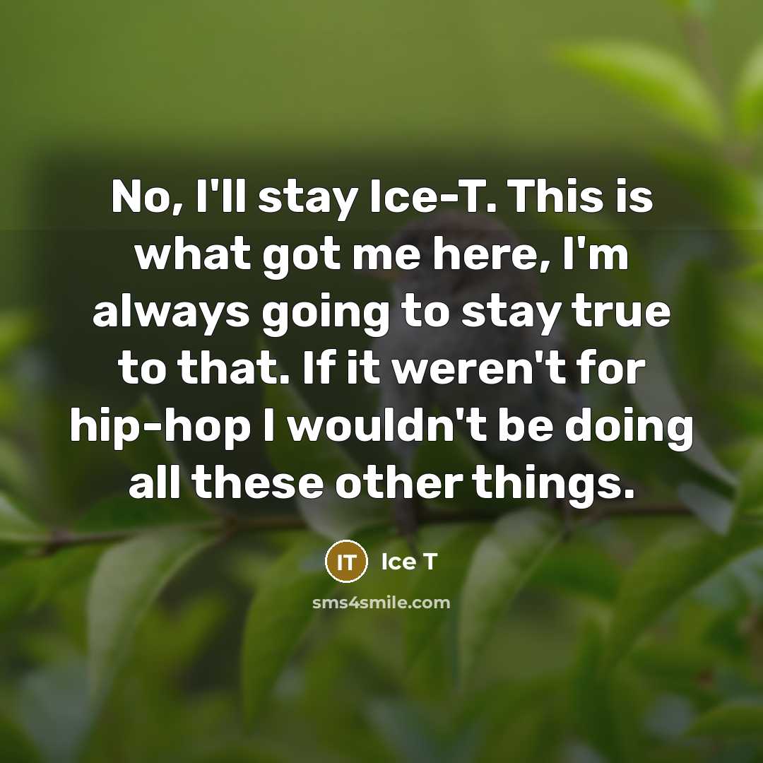 “No, I'll stay Ice-T. This is what got me here, I'm always going to stay true to that. If it weren't for hip-hop I wouldn't be doing all these other things.” quote by Ice T