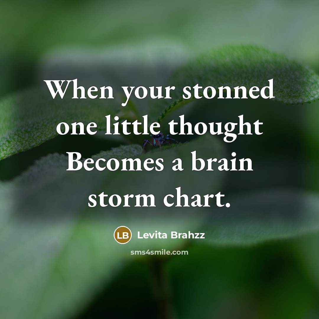 “When your stonned one little thought Becomes a brain storm chart.” quote by Levita Brahzz