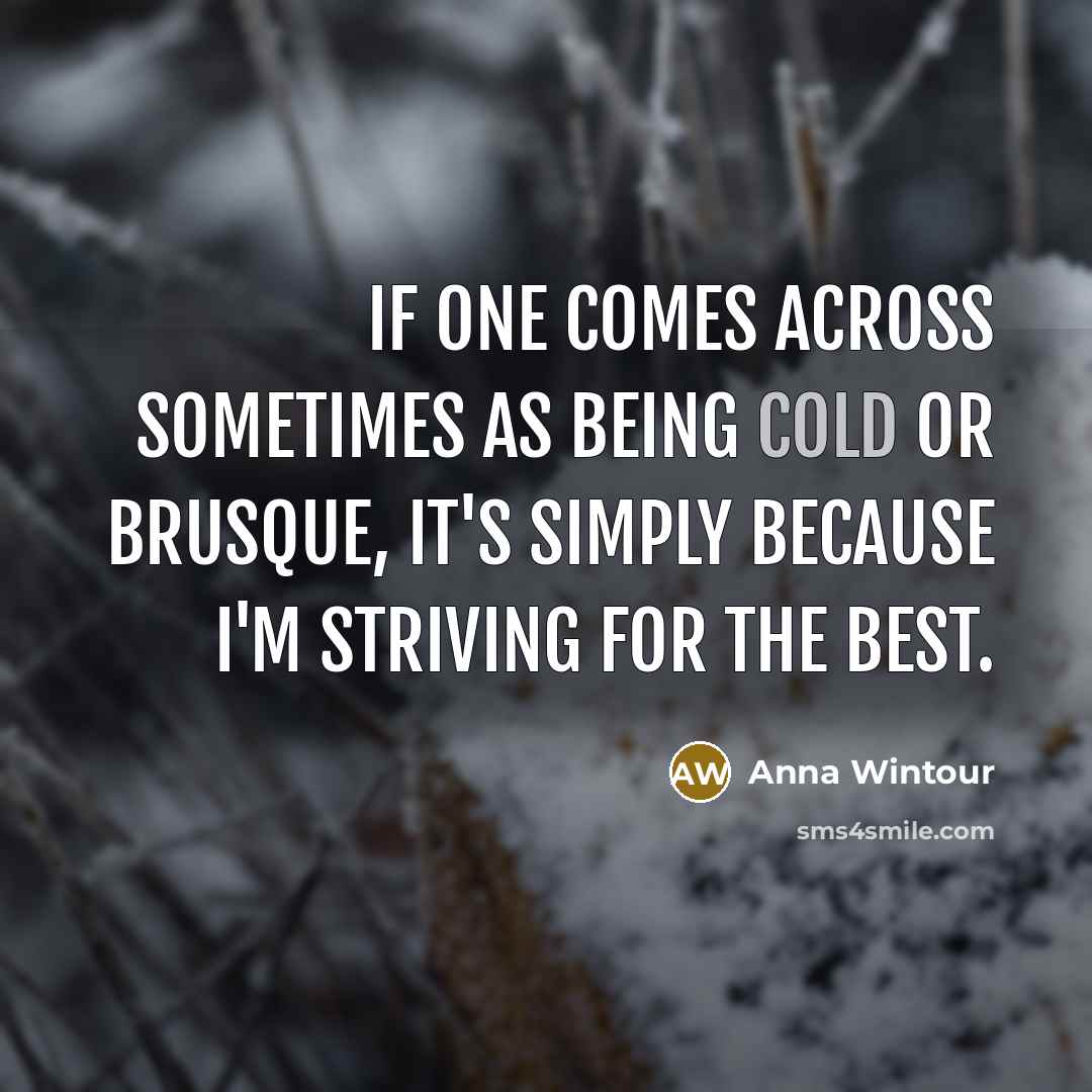 “If one comes across sometimes as being cold or brusque, it's simply because I'm striving for the best.” quote by Anna Wintour