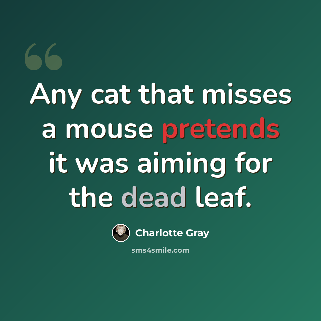 “Any cat that misses a mouse pretends it was aiming for the dead leaf.” quote by Charlotte Gray