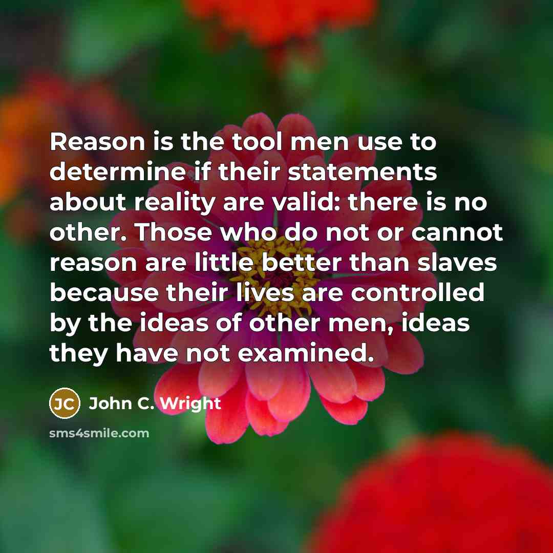 “Reason is the tool men use to determine if their statements about reality are valid: there is no other. Those who do not or cannot reason are little better than slaves because their lives are controlled by the ideas of other men, ideas they have not examined.” quote by John C. Wright